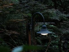 -宁海森林温泉
