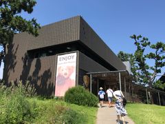 -济州岛泰迪熊博物馆