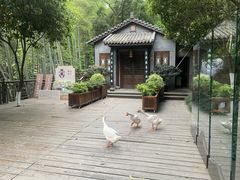 -十八棵（老龙井）御茶园(老龙井店)
