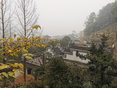 -老幺泉水鸡