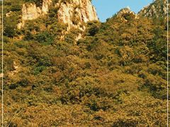 -大岭沟猕猴桃谷风景区