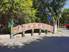 -呀路古热带植物园