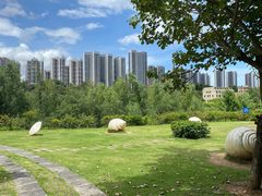 -大亚湾红树林城市湿地公园