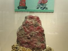 -安徽省地质博物馆