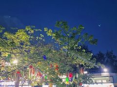 -锦里海景海鲜餐厅.三亚老字号(亚龙湾中心广场店)