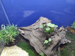 -古京·臻致料理(月湖店)