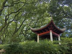 -天一阁博物院