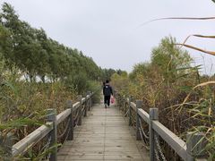 -呼兰河口湿地公园