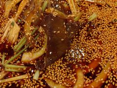 -鑫巴蜀小镇 · 水煮鱼专研店(玉桥店)