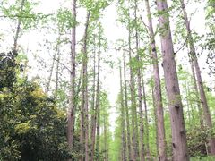 -上海怡沁园度假酒店