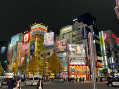 -秋叶原电器街