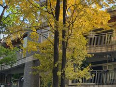 -鹅岭公园瞰胜楼