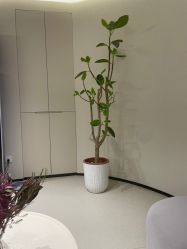 -美丽妈妈产后恢复中心(三林店)