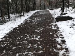 景点-钟山体育运动公园