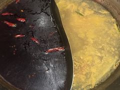 -宽板凳老灶火锅(南礼士路店)
