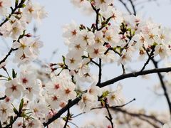 -白塘生态植物园