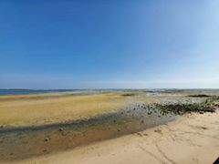 -北海金海湾红树林生态旅游区