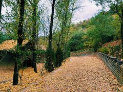 -蟠龙山长城景区