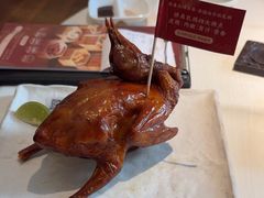 -侨美食家·41年地道粤菜(恒福路店)