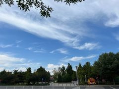 -大兴滨河森林公园