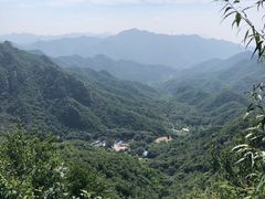 -大岭沟猕猴桃谷风景区