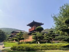 -习家池