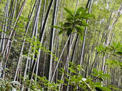 -敬亭山风景名胜区