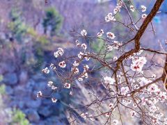 -九如山休闲旅游度假区