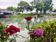 -晓琦农家菜馆·地道农家菜