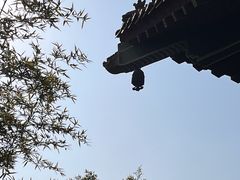 -天龙宝严素食馆(大兴善寺店)