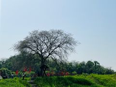 -下渚湖国家湿地公园科普馆