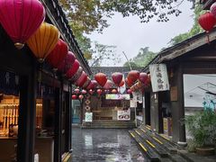 -天目湖山水园