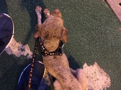 -燕青小馆(东园大厦店)