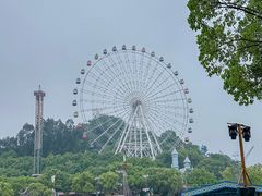 -温州乐园