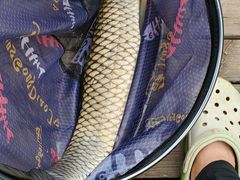 -酷鱼垂钓CLUB(朝阳区博大路店 )