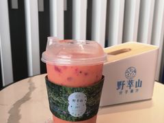 -野萃山·潮汕厚果汁(十亩地店)