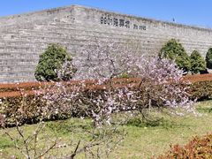 -秦始皇帝陵博物院-丽山园