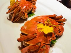 -食悦江南·淮扬菜·烤鸭(亚运村·惠新店)