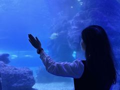 -左海海底世界