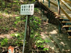 -吉林市朱雀山国家森林公园