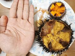 -海胆小馆(东北水饺·春柳店)