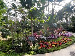 -北京植物园-展览温室
