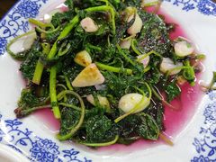 -协和菜馆(凤凰街店)