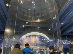 -飞行家太空体验馆(祥云小镇店)