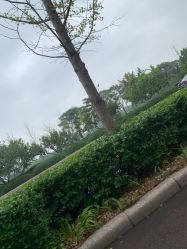 -HEYAN长风荷妍专业脱毛美肤
