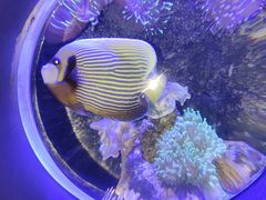 -太平洋海底世界