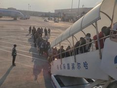 -哈尔滨太平国际机场-T2航站楼