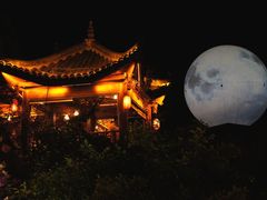 -巴倒烫陆派重庆火锅(南山店)