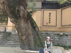 -无锡惠山寺