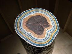 -上海当代艺术博物馆